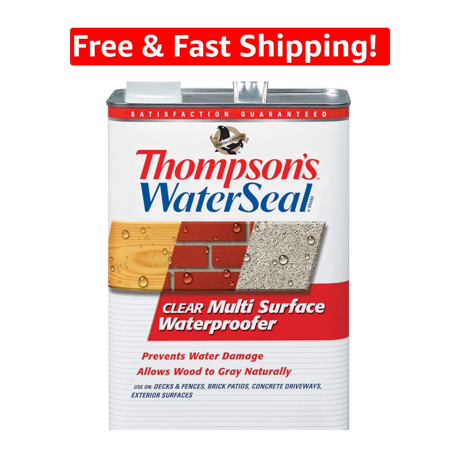 Thompson’s WaterSeal 1 Gallon Clear Waterproofer – Ideal for Outdoor Projects
