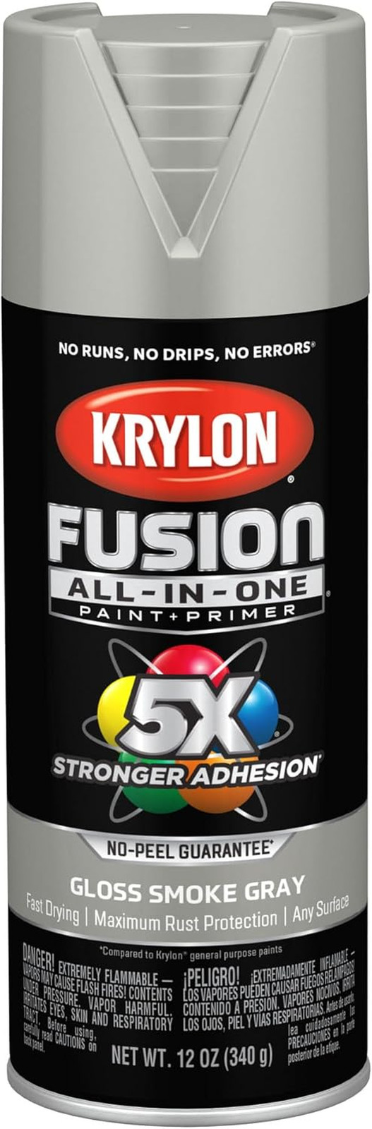 Fusion All-In-One Adhesive Spray Paint for Indoor/Outdoor Use, 12 Oz