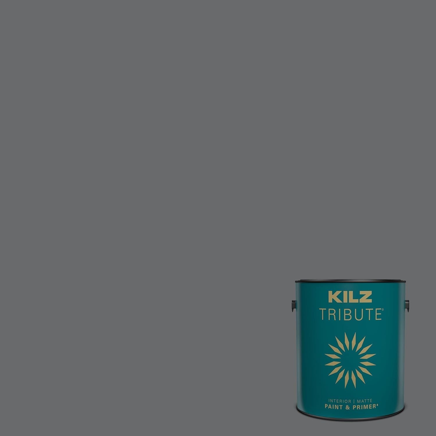 Versatile Motor Gray Paint & Primer in One – 128 Oz, Ideal for Multiple Surfaces