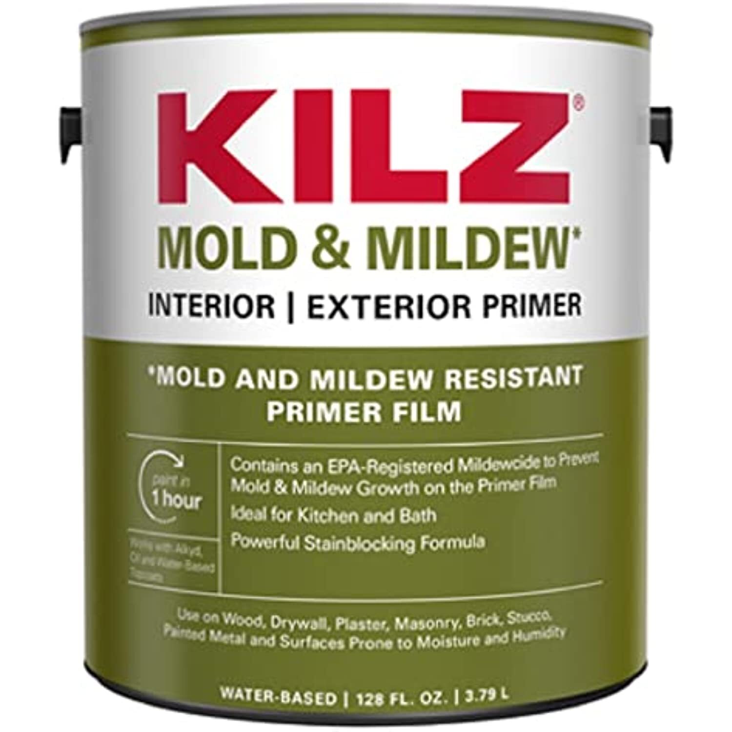 Masterchem Industries 7381056 1 gal Interior & Exterior Primer