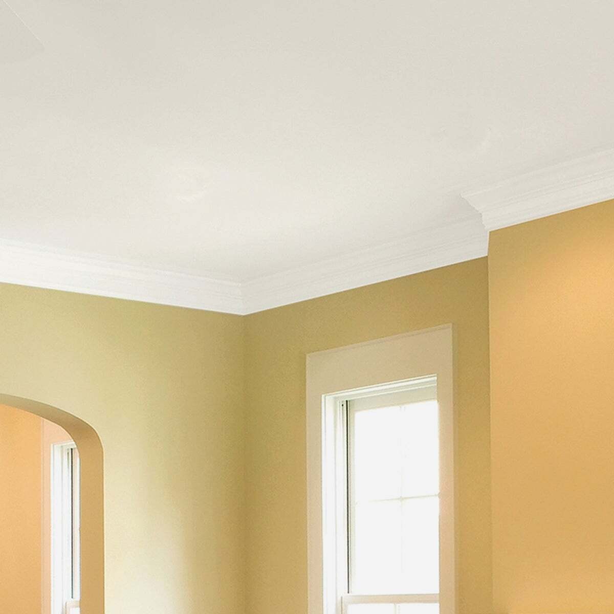 Zinsser 260967 Zinsser Ceiling Paint & Primer in One 1 GALLON Bright White