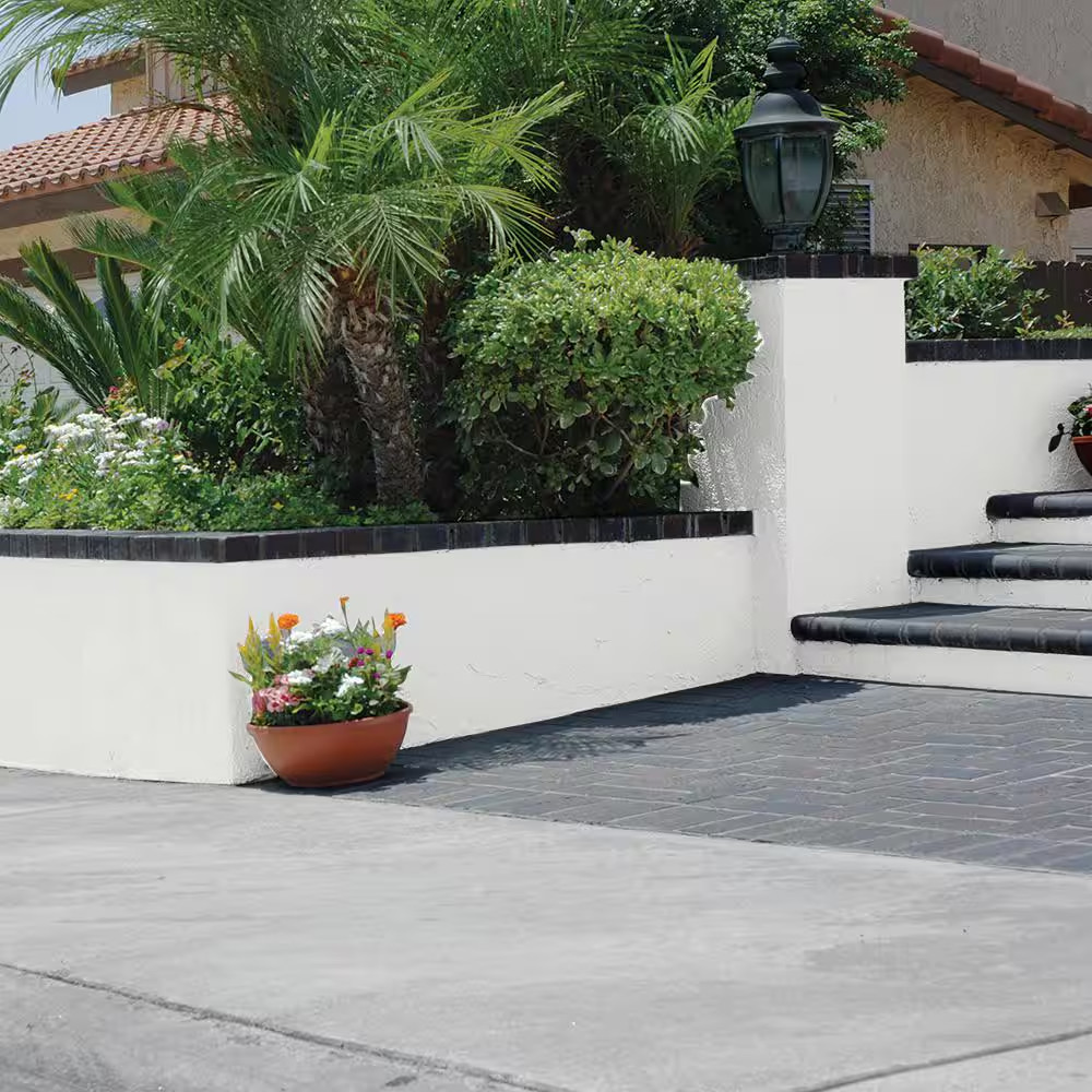 1 Gal. White Flat Interior/Exterior Dry plus Basement & Masonry Waterproofer