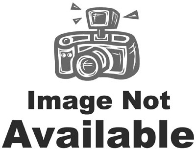 True Value Mfg CABSEP-QT CABSEP-QT Sat Cab Paint – Quantity 1