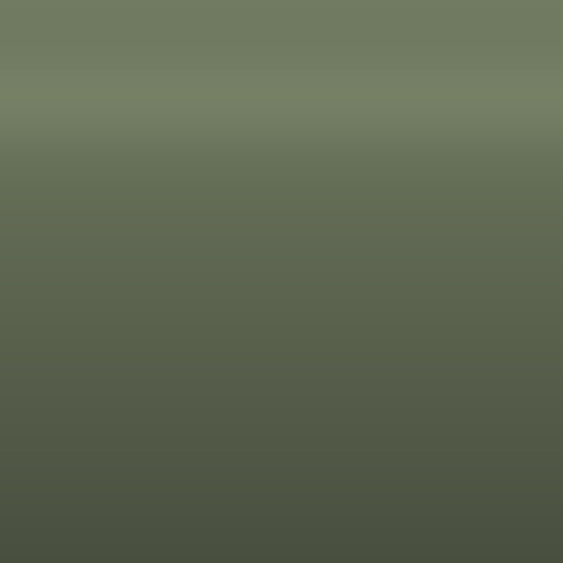 Automotive Touch Up Paint Nissan Moss Green Metallic JAC