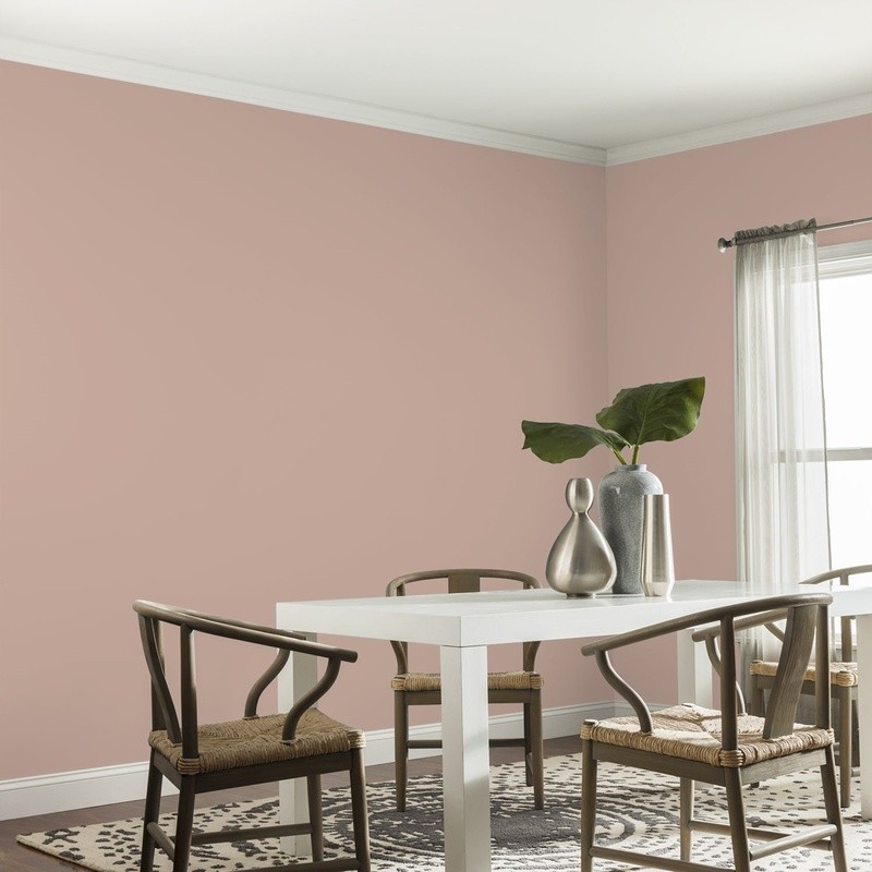 Interior Paint One Coat Coverage Low Odor Low VOC Mildew Resistant 400 sq ft New