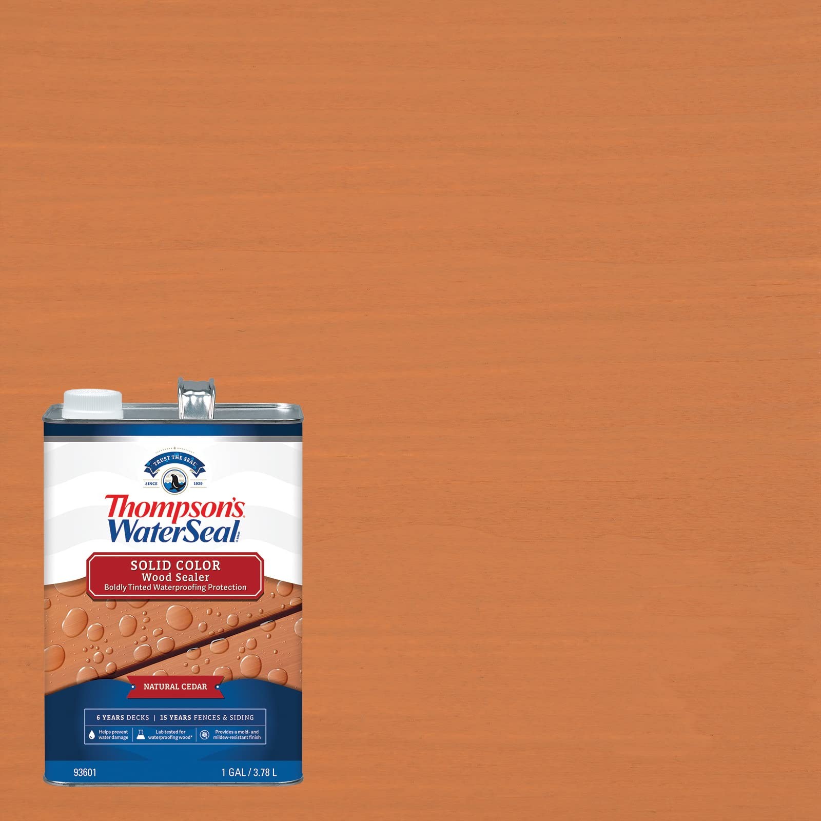 Thompson’s WaterSeal Solid Color Waterproofing Wood Stain and Sealer, Natural Ce