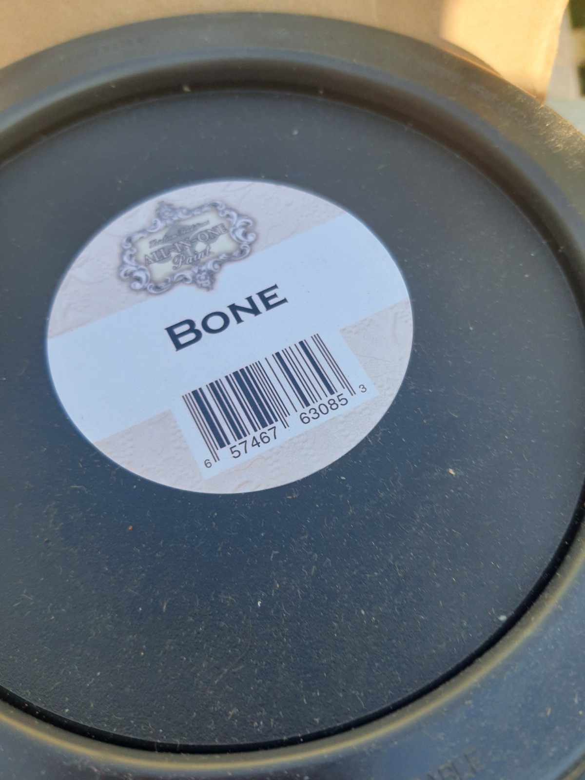 ALL-IN-ONE Paint – Bone, 128 Fl Oz – includes color card