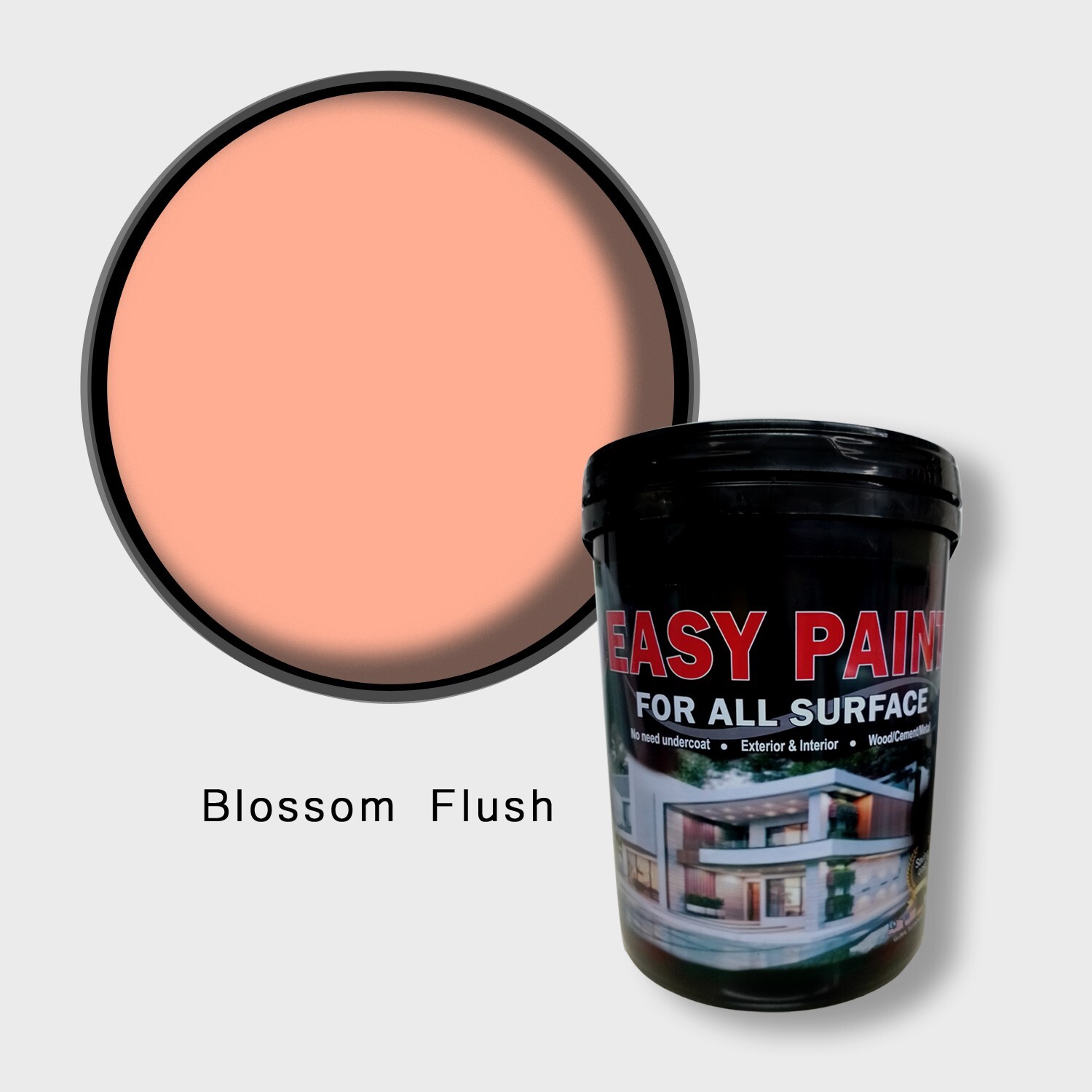 Blossom Flush, Easy Paint 5L/1.3gal – Mid Sheen (Interior Wall) JS22 Red Shade