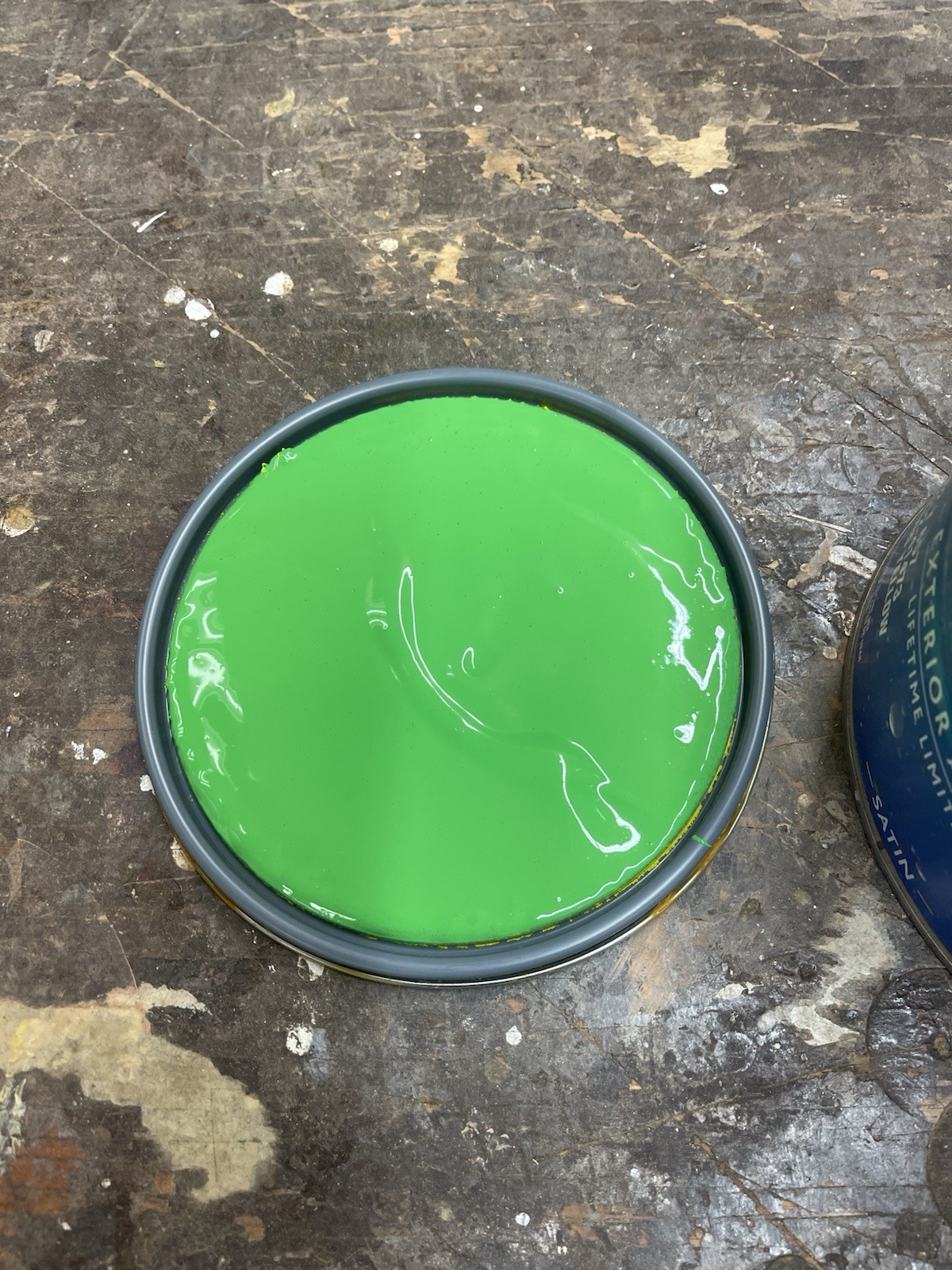 Gallon Sherwin Williams Latitude Exterior Satin Acrylic Paint/ 6925 Envy Green