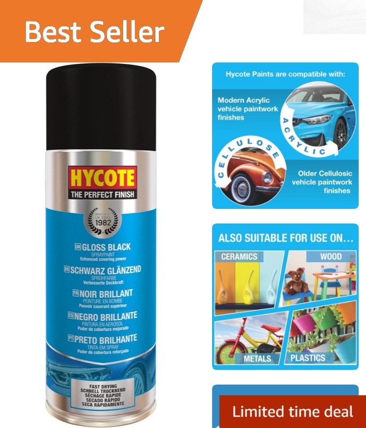 Professional Grade Gloss Black Spray Paint, 13.5 Oz, Fast-Drying & UV Resistant