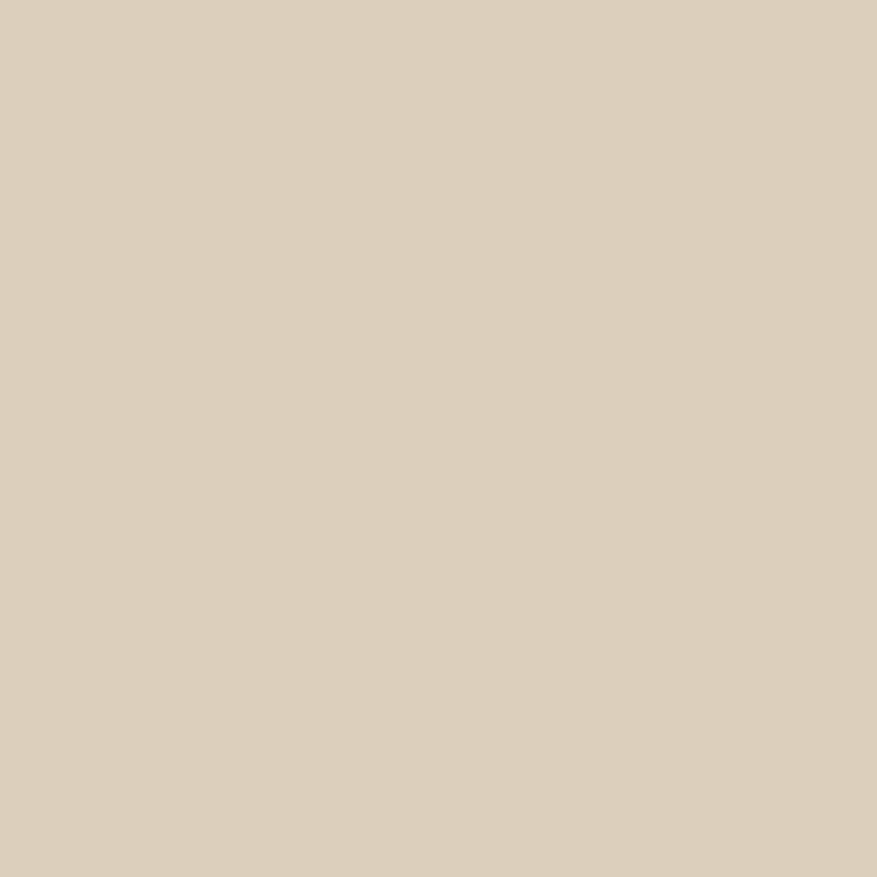 Interior Paint Primer Low Odor Zero VOC Washable Scrubbable Mildew Resistant New