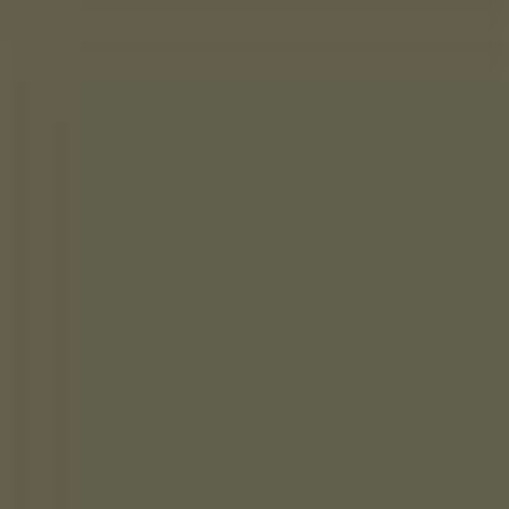 (4 Pack) Rust-Oleum Automotive Self-Etching Primer Spray Paint Dark Green, 12 oz