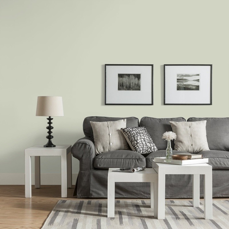 Low VOC Interior Paint Washable Eggshell Finish Multi-Surface 400 sq ft Coverage