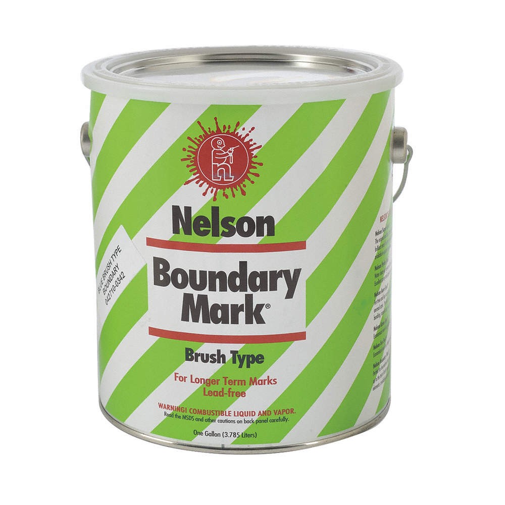 NELSON PAINT 29 6 GL BLUE Boundary Marking Paint,1 gal,Blue 3TWP7