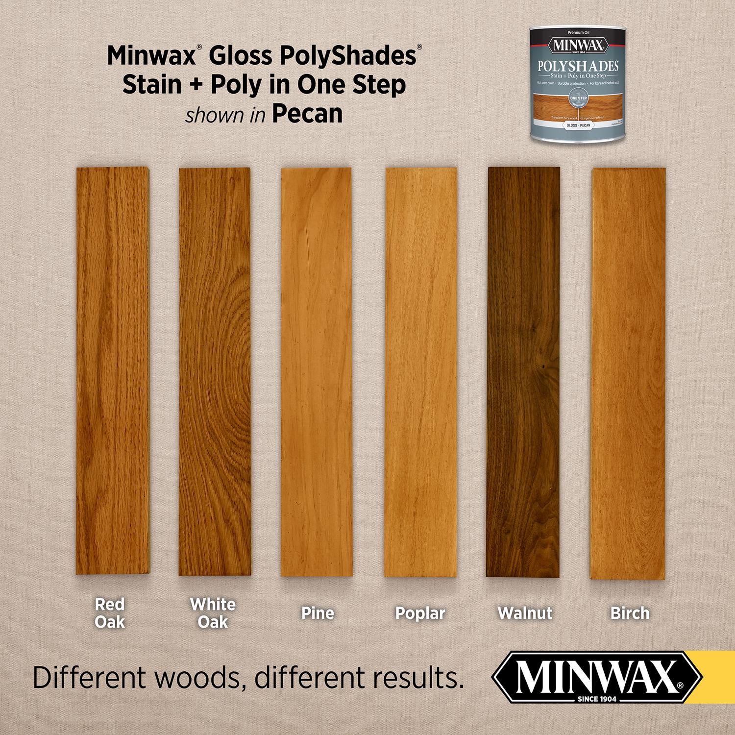 Minwax 214204444 Gloss Pecan Stain and Polyurethane Finish 0.5 pt. (Pack of 4)