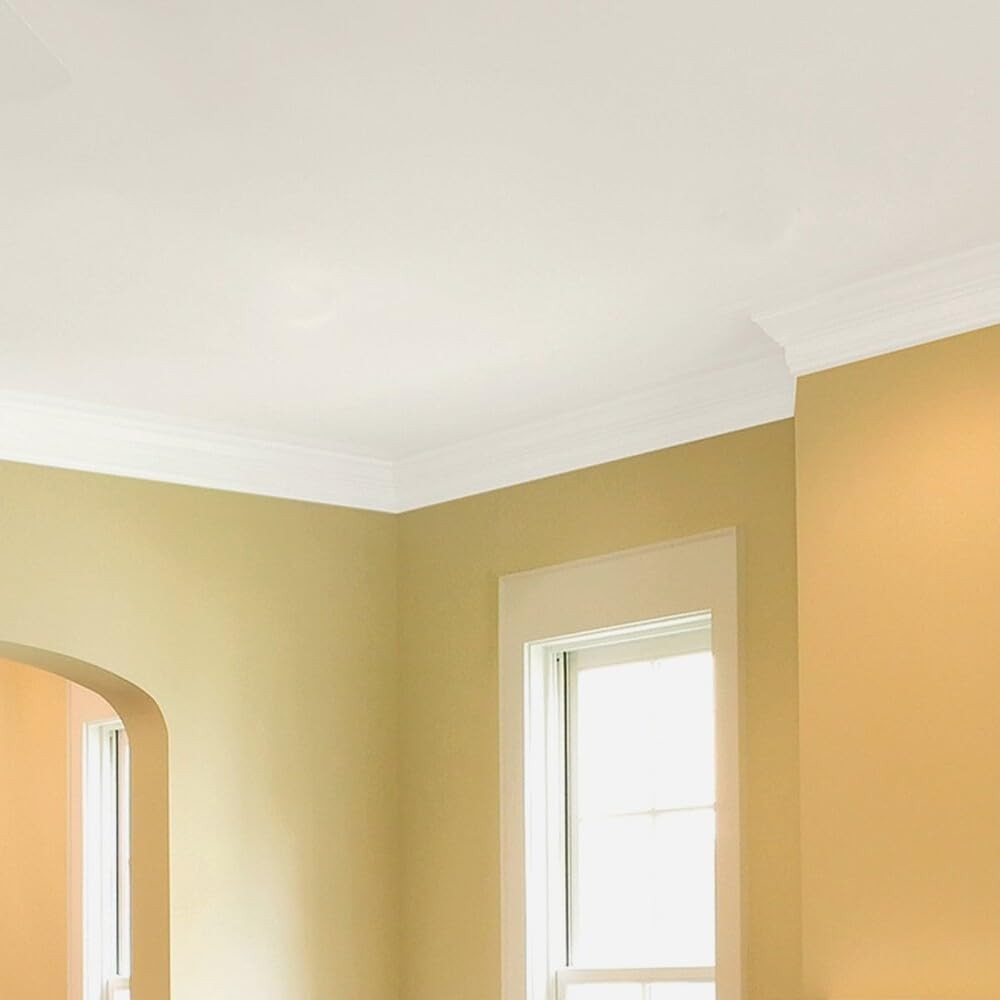 Rust-Oleum Zinsser 260967 Ceiling Paint Gallon – Bright White, Low VOC, Latex