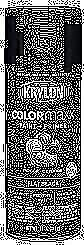 Krylon Diversified Brands K05546007 Krylon COLORmaxx Flat Black – Quantity 6