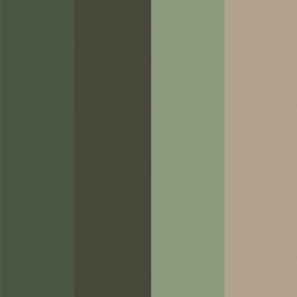 269038-6 PK Specialty Camouflage Spray Pack, 12-Ounce, 6-Pack