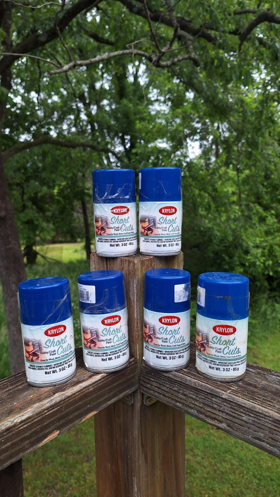 X6 Krylon Short Cuts Aerosol Spray Paint 3oz Forever Blue Hobby Craft Paints