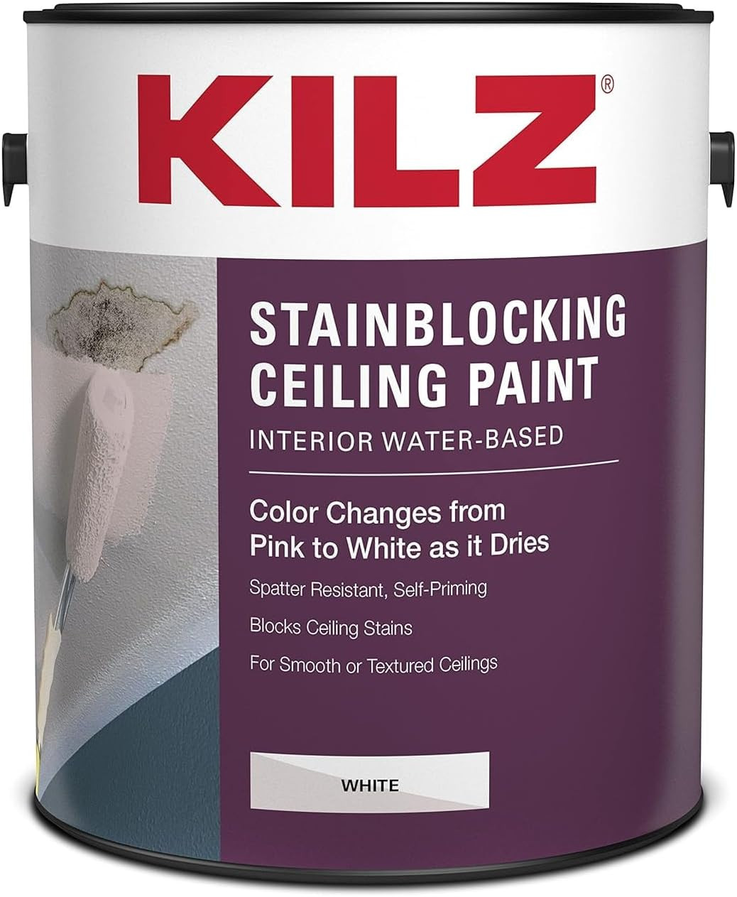 Stainblocking Ceiling Paint, Interior, White, 1 Gallon