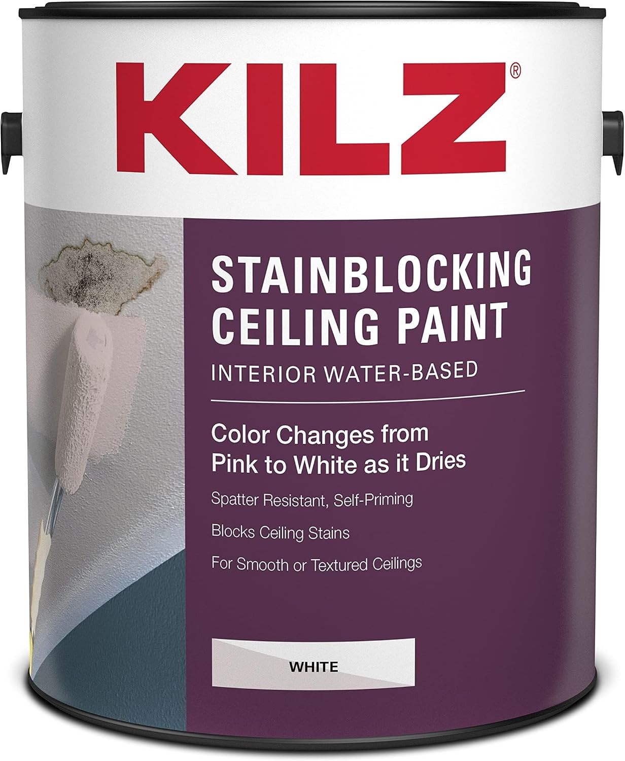 Stainblocking Ceiling Paint Interior White 1 Gallon