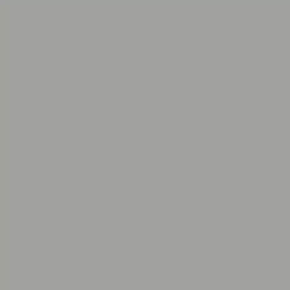 Rust-Oleum, Gray, Grayrust-Oleum 249279 Automotive Filler Primer Spray Paint, 11
