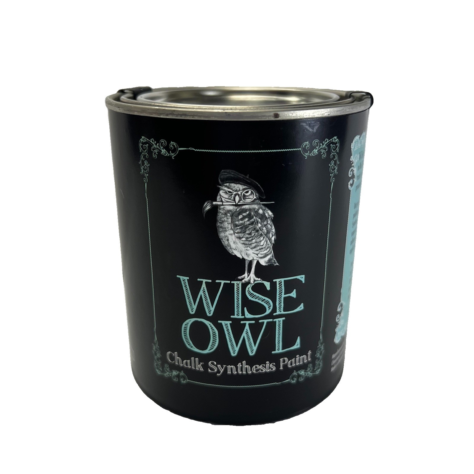 Wise Owl Chalk Synthesis Paint 16oz Color: Rock Steady (bright pink)