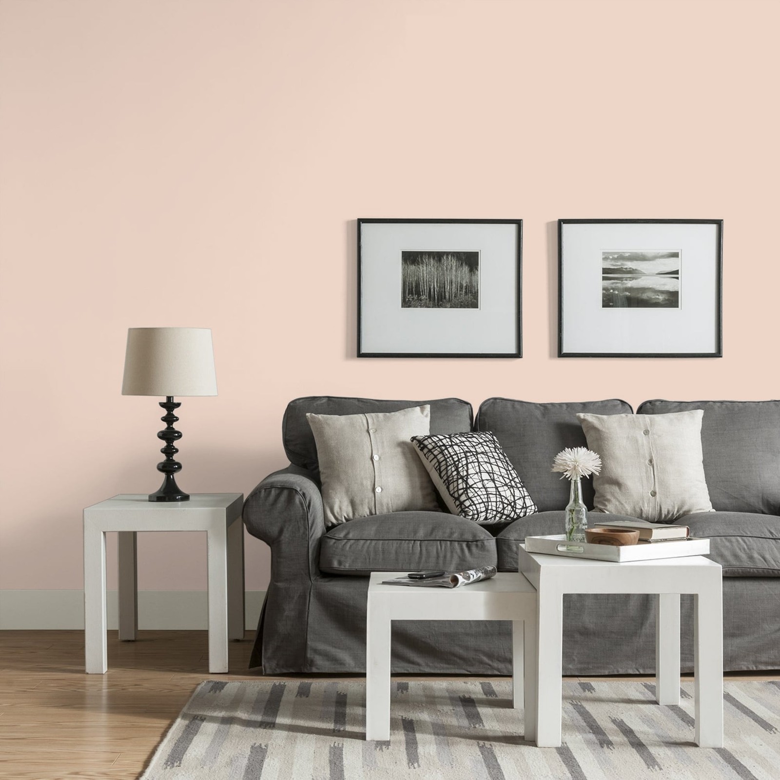 Fundamentals Blush Beige / Orange Eggshell Interior Paint 1 Gallon