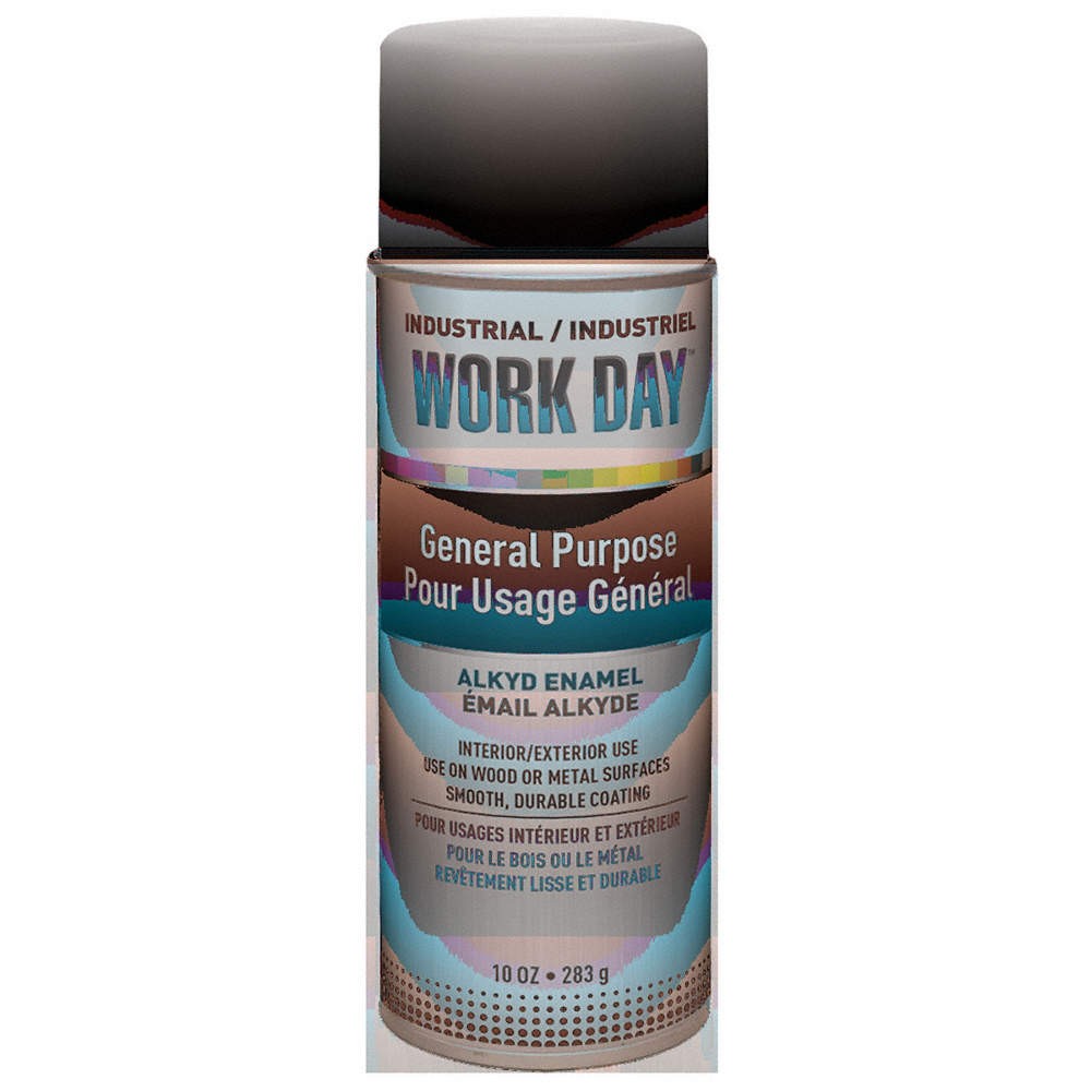 KRYLON INDUSTRIAL A04422007 Spray Paint,Flat,White,10 oz 800T17