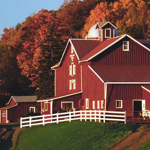 Fence Exterior Paint 5 Gallon Red Barn Livestock Safe Durable Oil Latex Adhesion