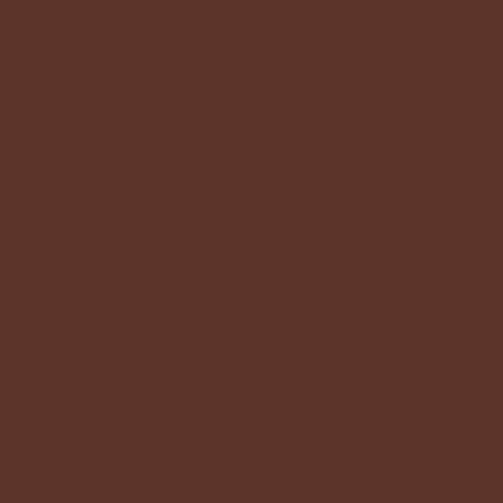 All Surfaces Rust Protection Gloss Espresso Spray Paint Without Sanding or Primi