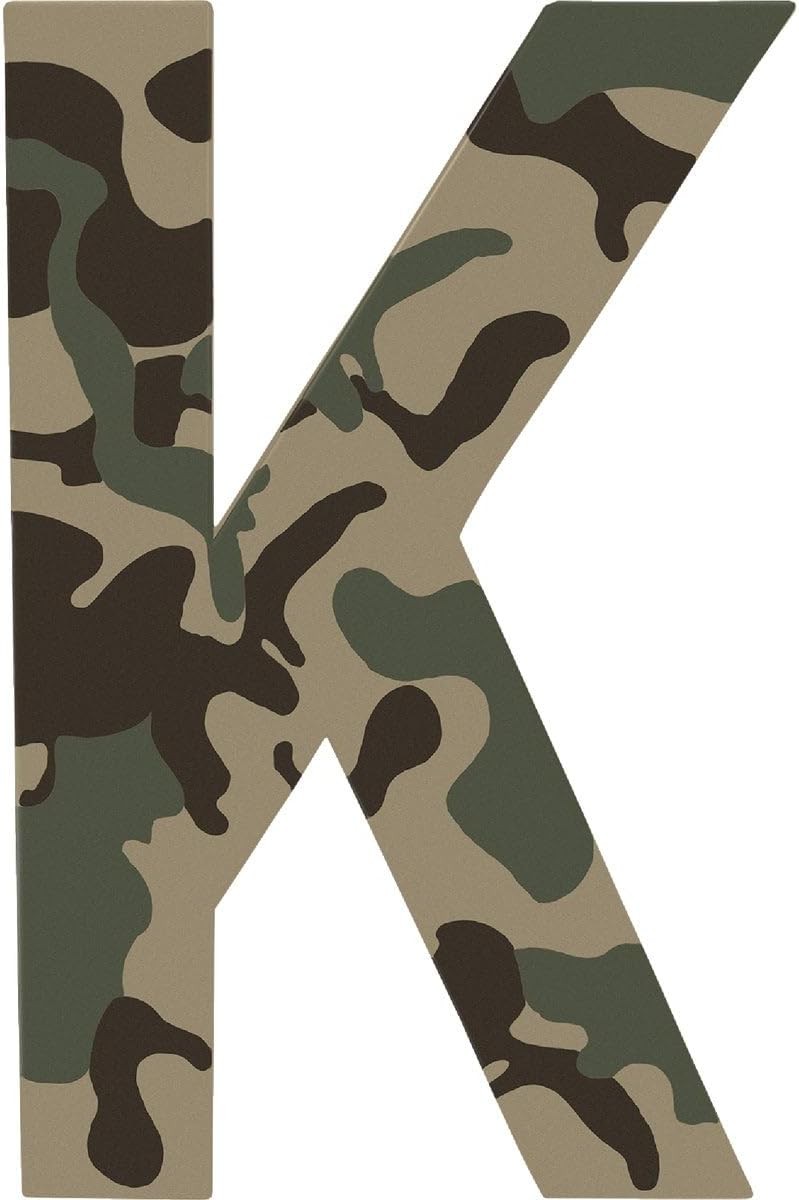 Krylon Camouflage Paint, Ultra Flat, 11 Ounce (Pack of 1), Sand