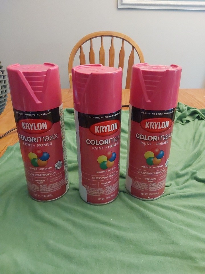 (3)-Krylon ColorMaxx 12 Oz. Gloss Watermelon Paint And Primer Indoor Outdoor