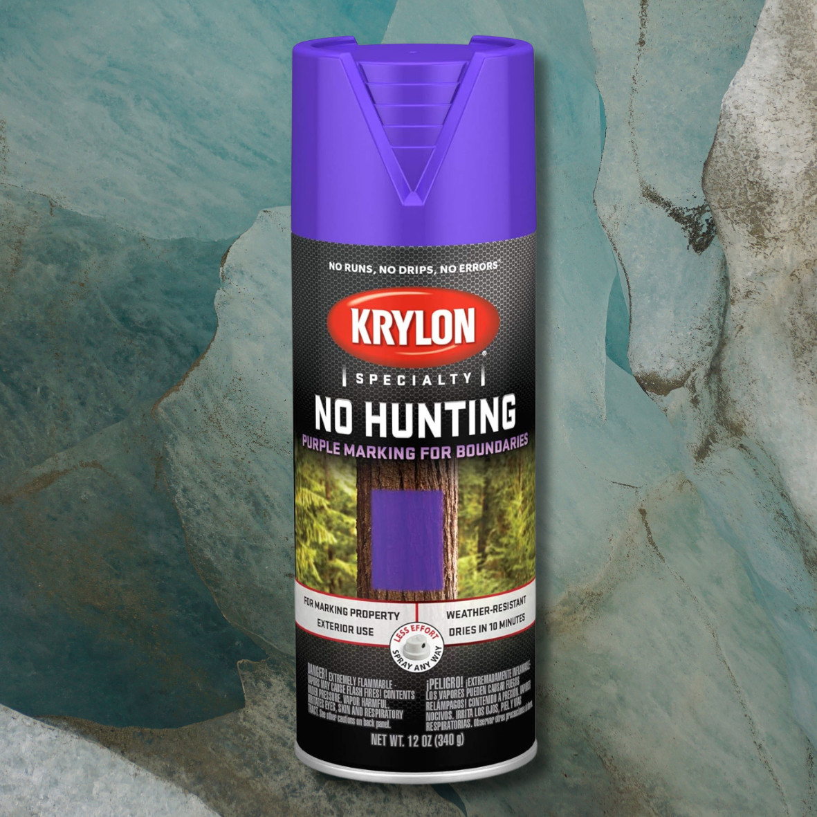 K02510777 Spray Paint, 12 Fl Oz (Pack of 1), No Hunting Purple, 12 Ounce