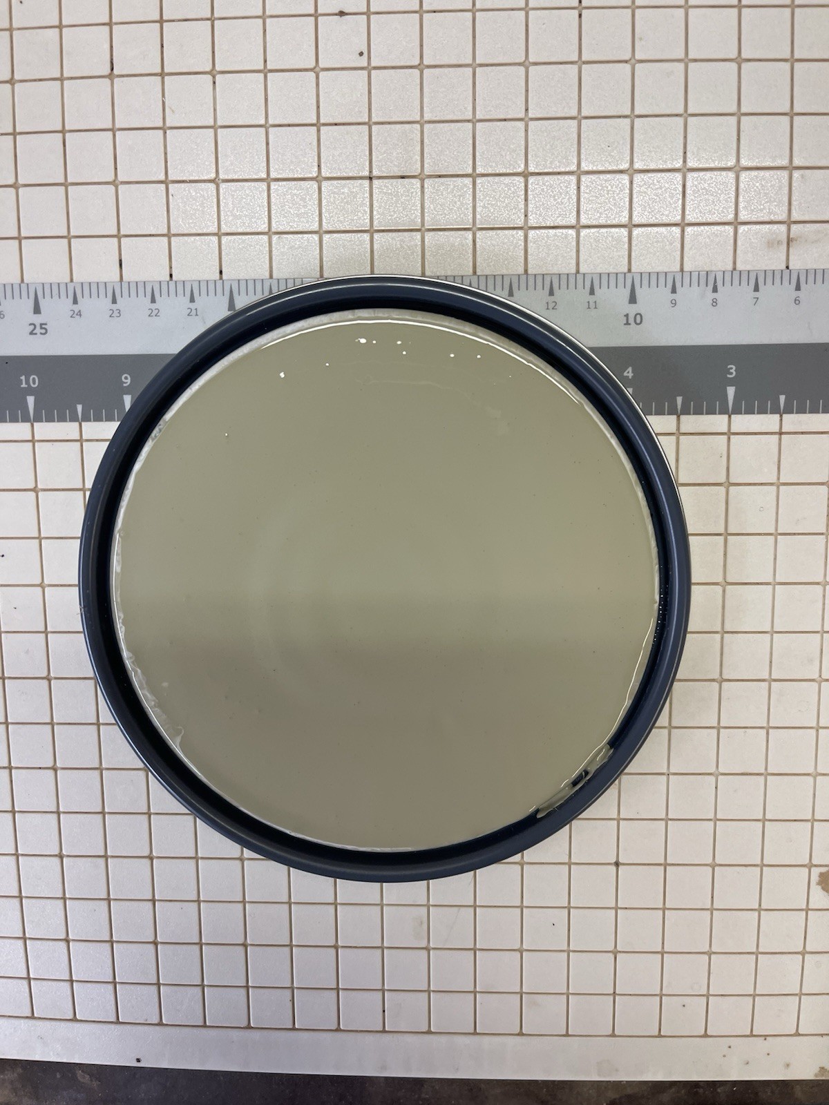 1 Gal. Sherwin Williams Emerald Exterior Satin Acrylic Paint/Custom Vintage Sage