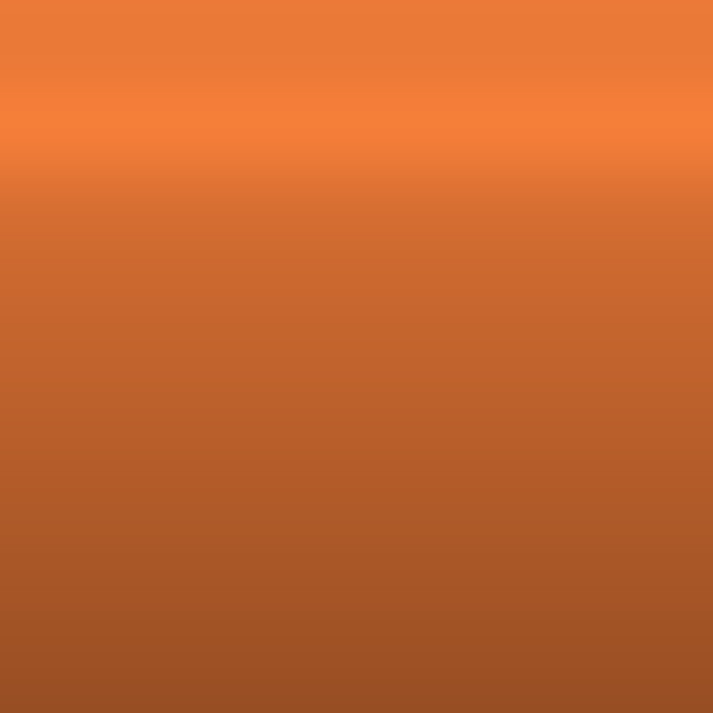 Automotive Touch Up Paint Nissan Orange Metallic A53
