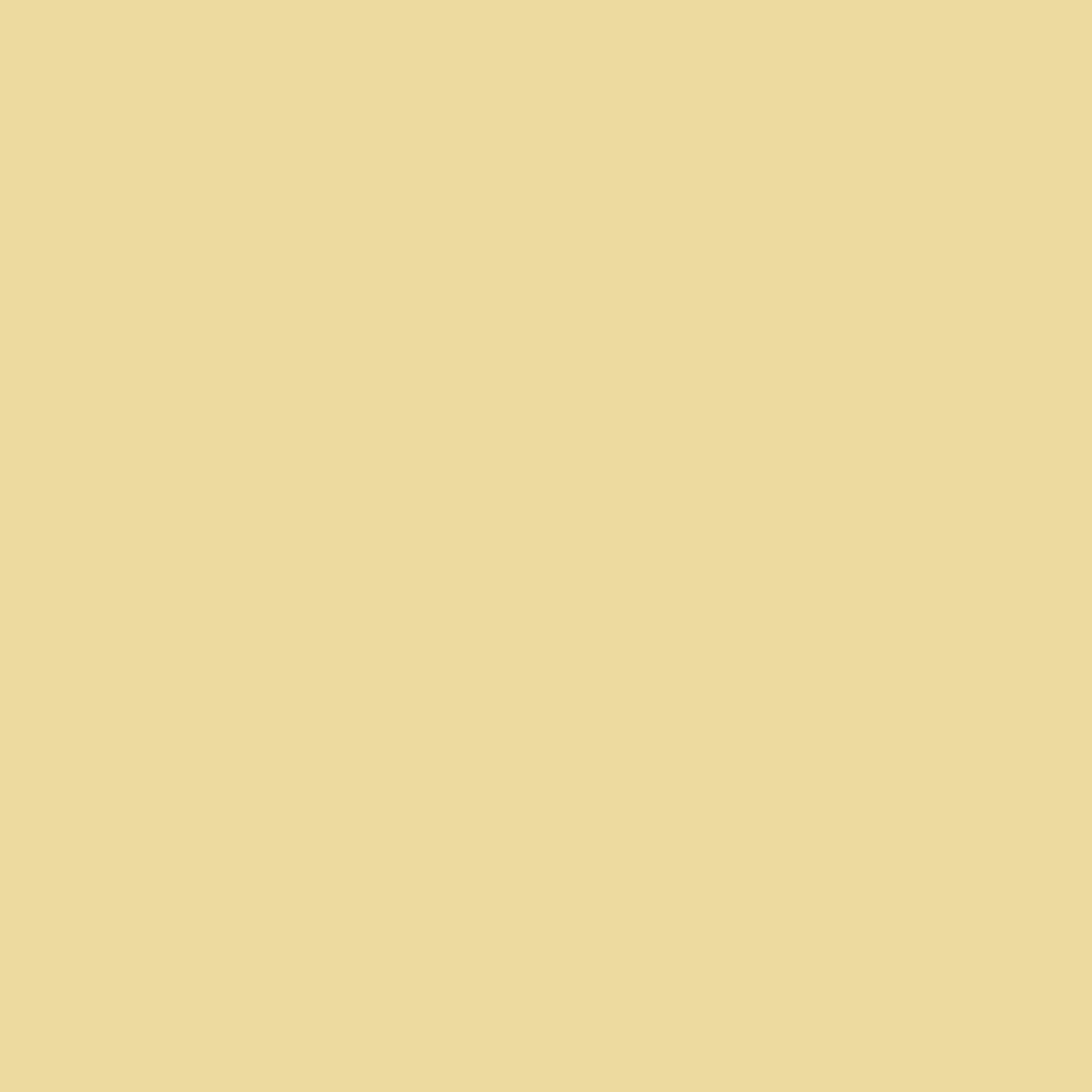 Fundamentals Demeter / Yellow Eggshell Interior Paint, 1 Gallon