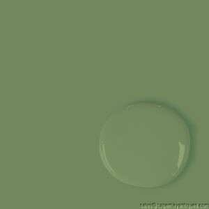Capability Green Annie Sloan Chalk Paint 4.06 Oz Covers 18′ Brand New
