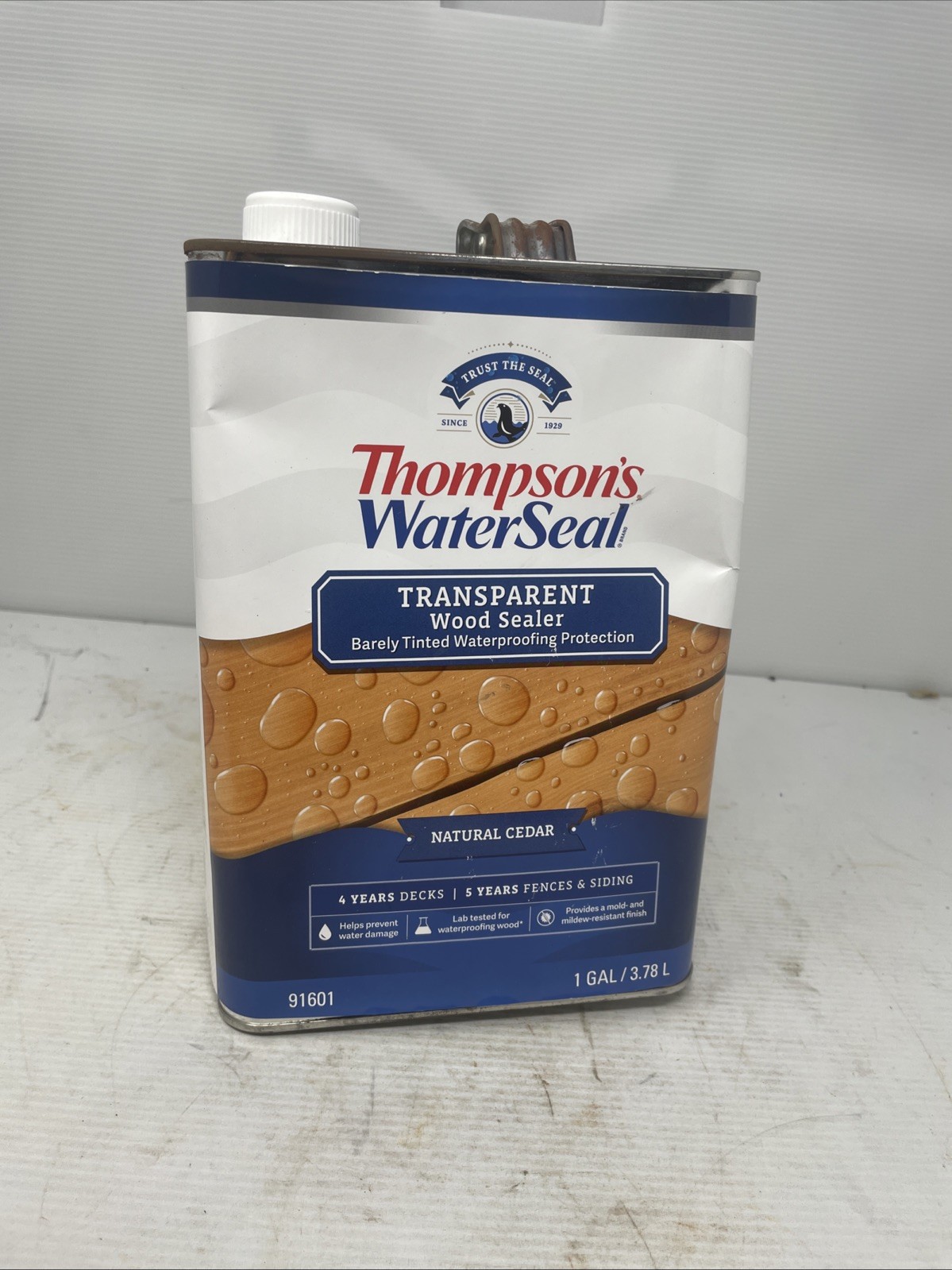 Thompson’s WaterSeal Transparent Waterproofing Wood Stain Outdoor Finish 1 gal