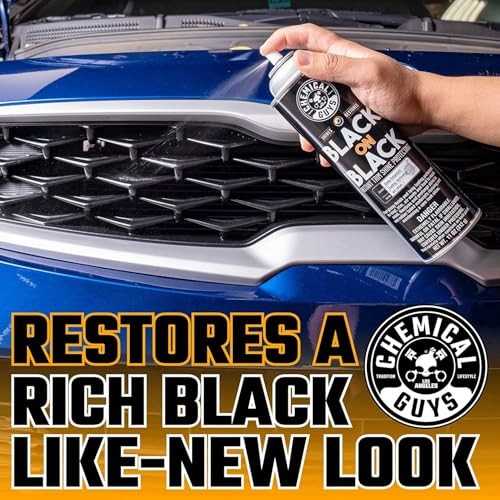 , Black on Black Trim Shine Dressing, Gloss, 11 oz, 2 Pack | Spray dressing