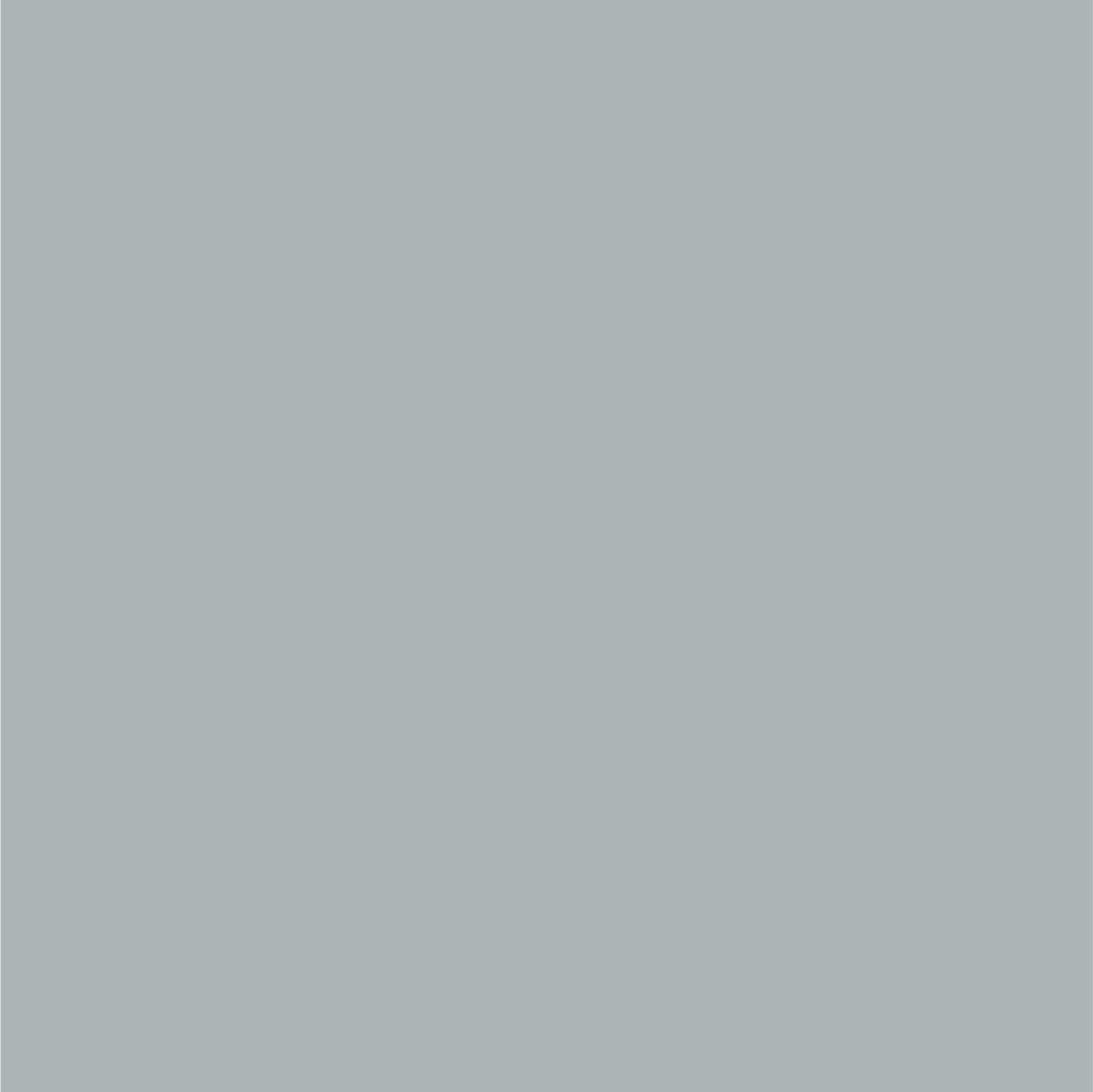 Dupli-Color EBFM03417 Perfect Match Automotive Spray, Ford Silver Frost, TS –…