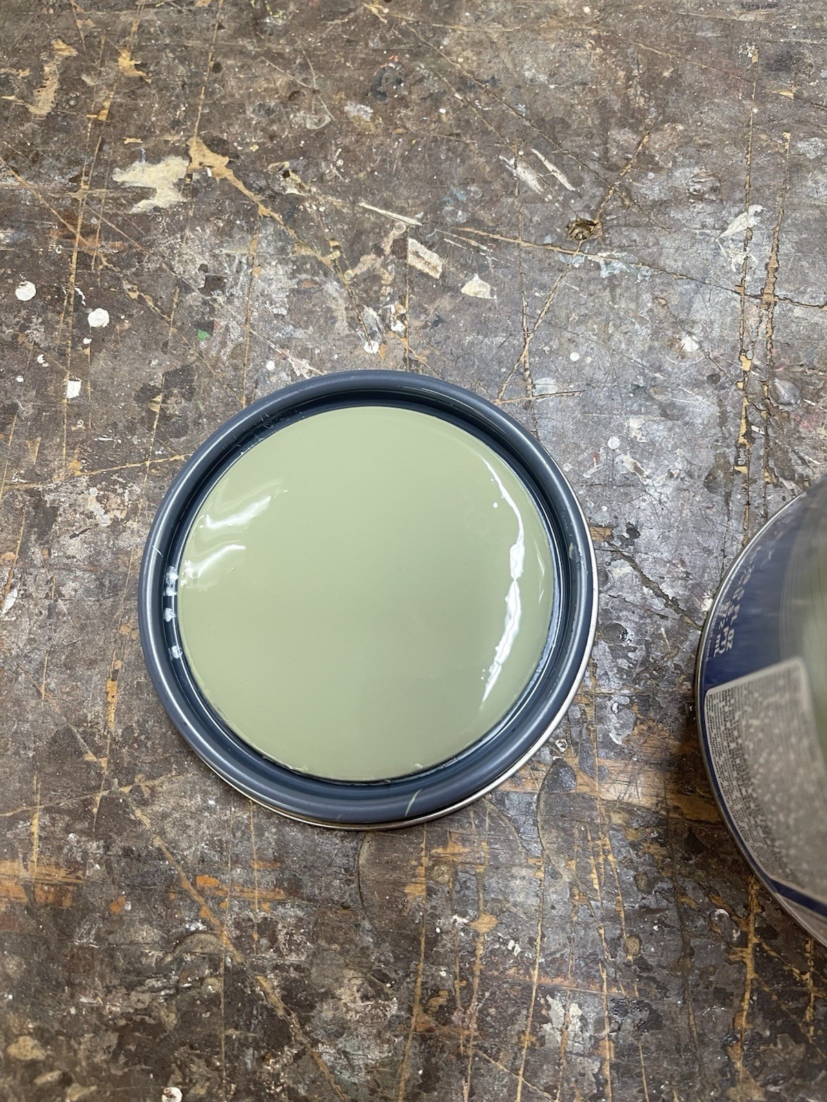 Qt Sherwin Williams Latitude /Custom Bishop Green / Exterior Satin Acrylic Paint