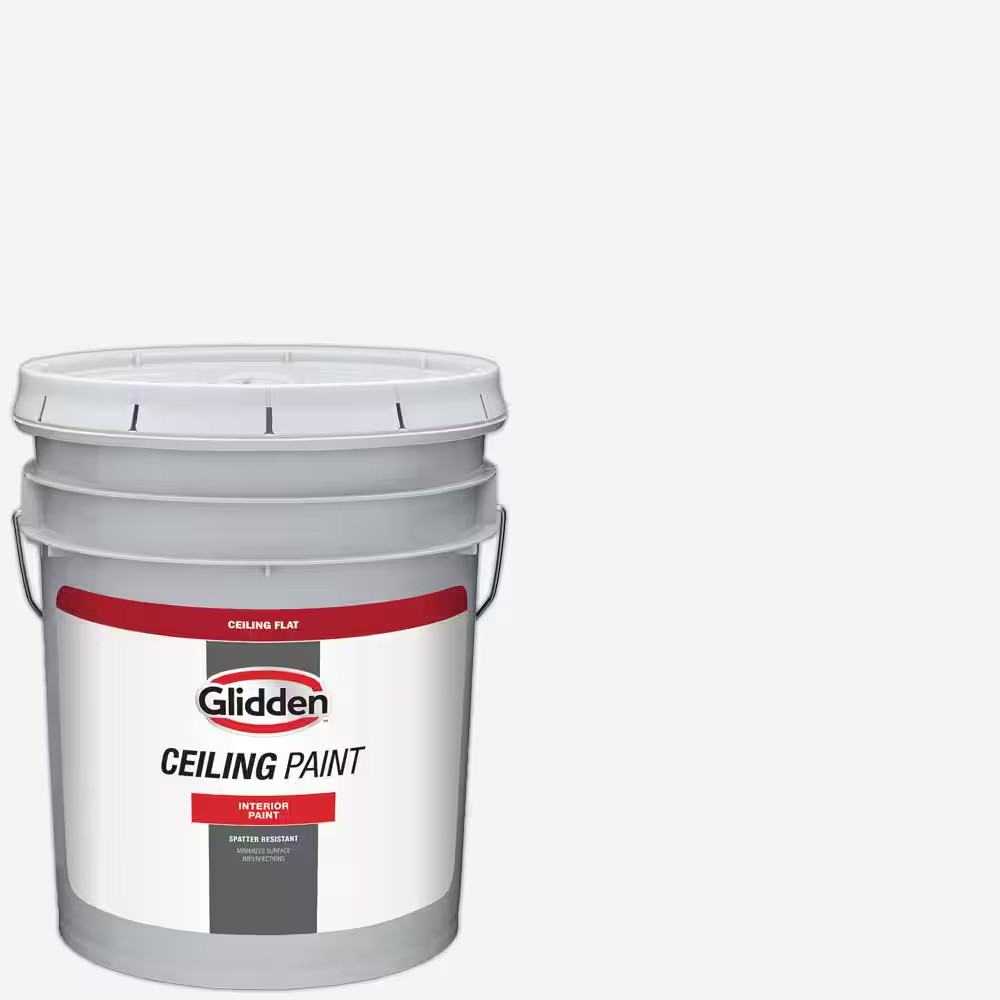 5 Gal. High-Hiding White Interior Dead-Flat Ceiling Paint