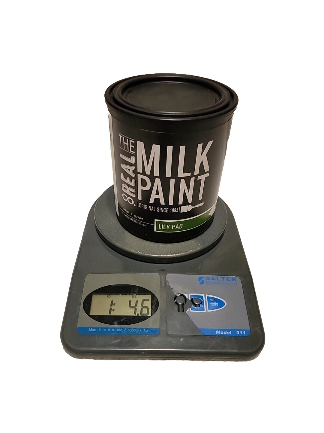 The Real Milk Paint Co. Makes 1 Quart Lily Green Powder NO VOC Eco Friendly NEW