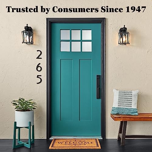 Krylon K18201 Coarse Stone Texture Finish Spray Paint, Black Assorted Colors
