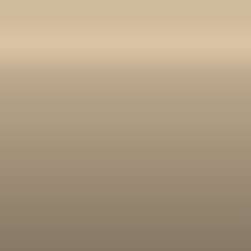 Automotive Touch Up Paint Chevrolet Light Brown Metallic 8957