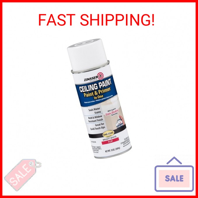 Zinsser Ceiling Acrylic Paint & Primer in One, 13 oz, Flat White