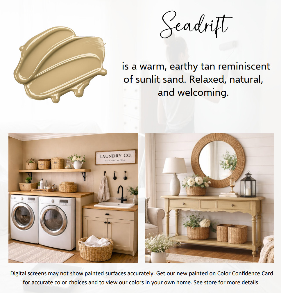 ALL-IN-ONE Paint – Seadrift, 8oz Sample – includes color card