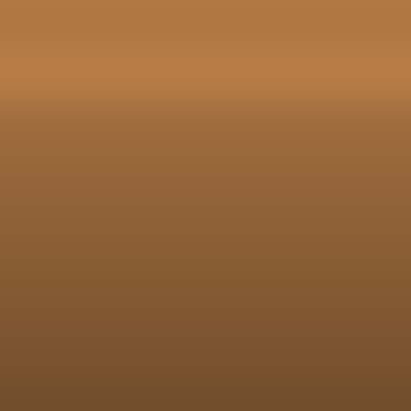 Automotive Touch Up Paint AMC Autumn Brown Metallic 4A