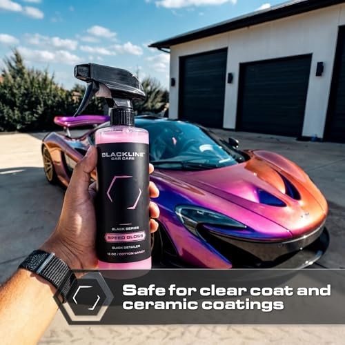 Car Care – Speed Gloss Quick Detailer Spray & Car Shine – 16 Fl Oz (Pack of 1)